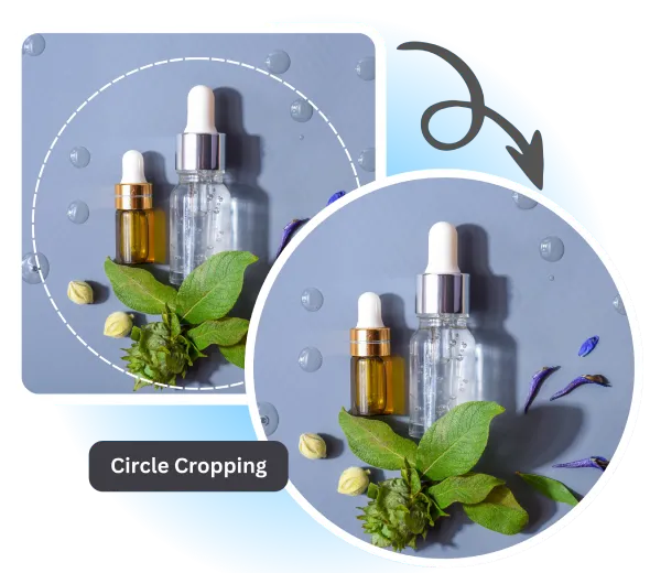 Circle Crop Image for Professional & Social Media Use